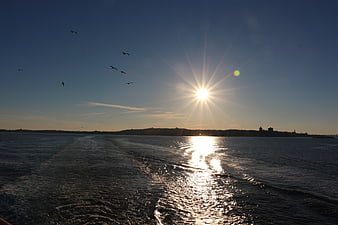 Sunset over water with birds flying and city skyline silhouette
