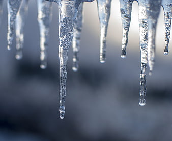 Close-up of melting icicles with water droplets