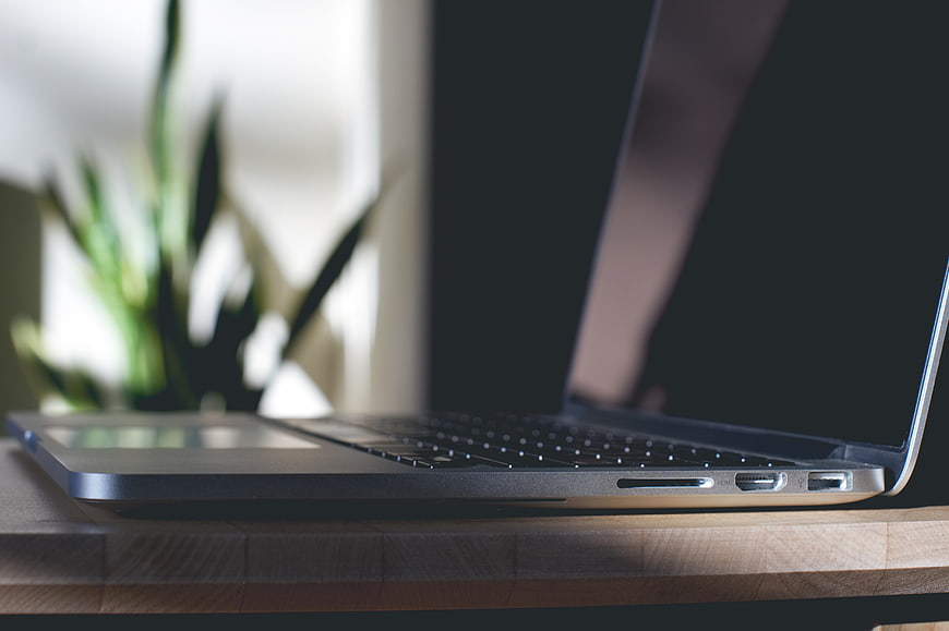 Side View of Silver Laptop on Wooden Desk with Blurred Plant
