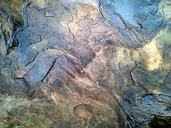 Wet Rock Texture with Water Reflections and Natural Erosion