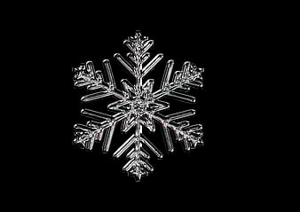 Detailed Macro Snowflake Crystal on Black Background