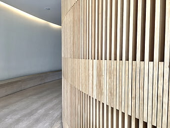 Modern curved wooden slat wall interior design