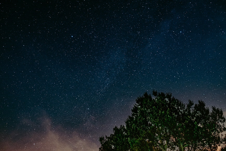 Starry Night Sky Over Silhouetted Pine Trees