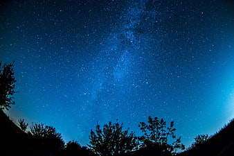 Milky Way Galaxy Over Silhouetted Trees at Night