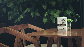 Wooden table and chair with book and green plant