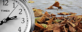 Timex Clock and Autumn Leaves on Pavement