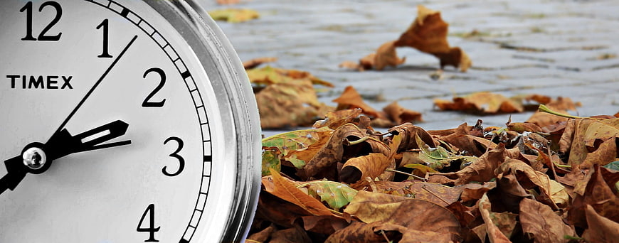 Timex Clock and Autumn Leaves on Pavement