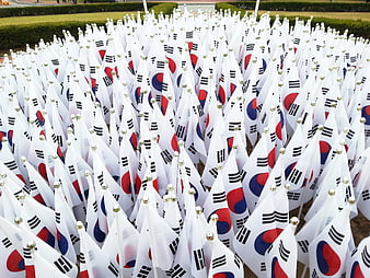Large Array of South Korean National Flags