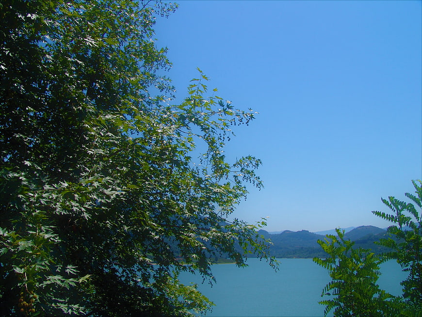 Serene Lake View Framed by Green Trees and Blue Sky