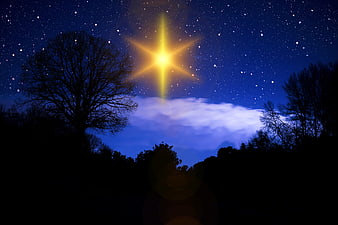 Bright Star Over Silhouetted Trees at Night
