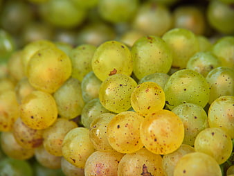 Close-up of fresh green grapes with natural speckles