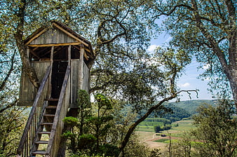Rustic wooden treehouse with stairs overlooking green valley