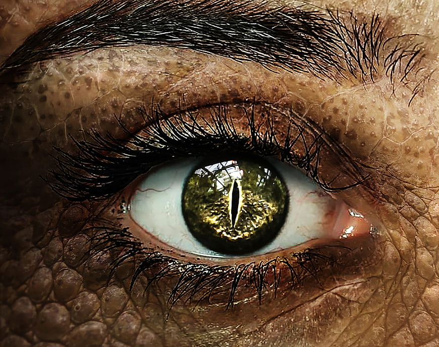 Close-up of reptilian eye with green iris and scaly skin texture