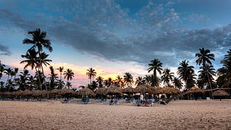 Tropical Beach Sunset with Palm Trees and Thatched Umbrellas