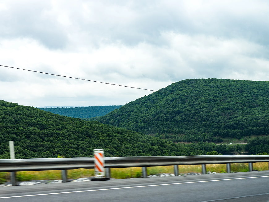 Green Forested Hills Viewed from Moving Highway