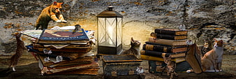 Fantasy scene with cats, mice, and old books around a lantern