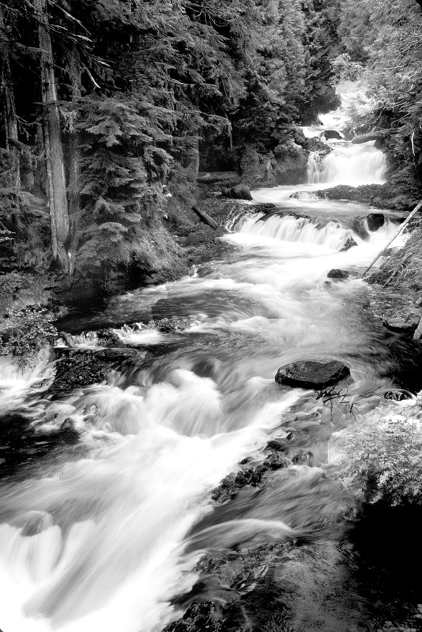 Black and White Long Exposure Forest Stream Waterfall