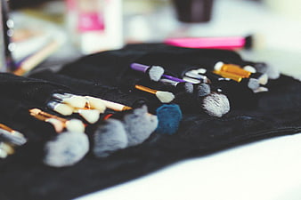 Professional Makeup Brushes on Black Roll Organizer