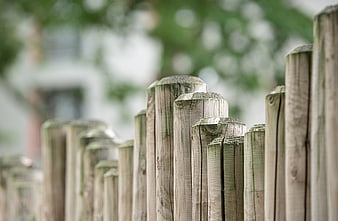 Close-up of weathered wooden fence posts with blurred background