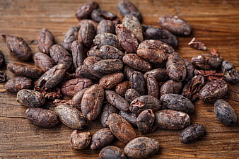 Raw cacao beans on rustic wooden background
