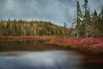 Moody Autumn Lake Landscape with Vibrant Red Foliage