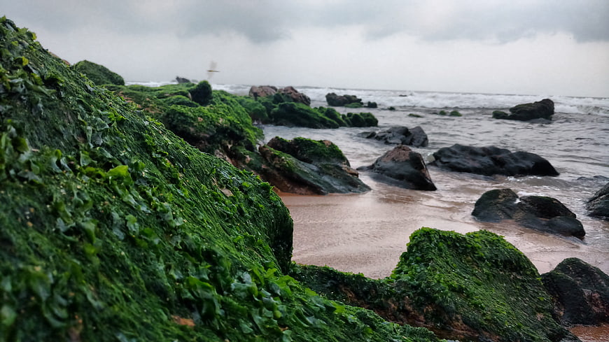 Mossy rocks on a misty beach with ocean waves