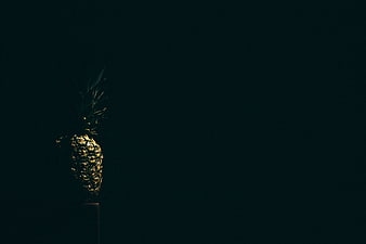 Dark moody pineapple on pedestal with large negative space