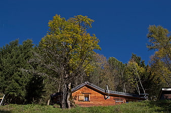Alpine wooden hut with shingles under blue sky