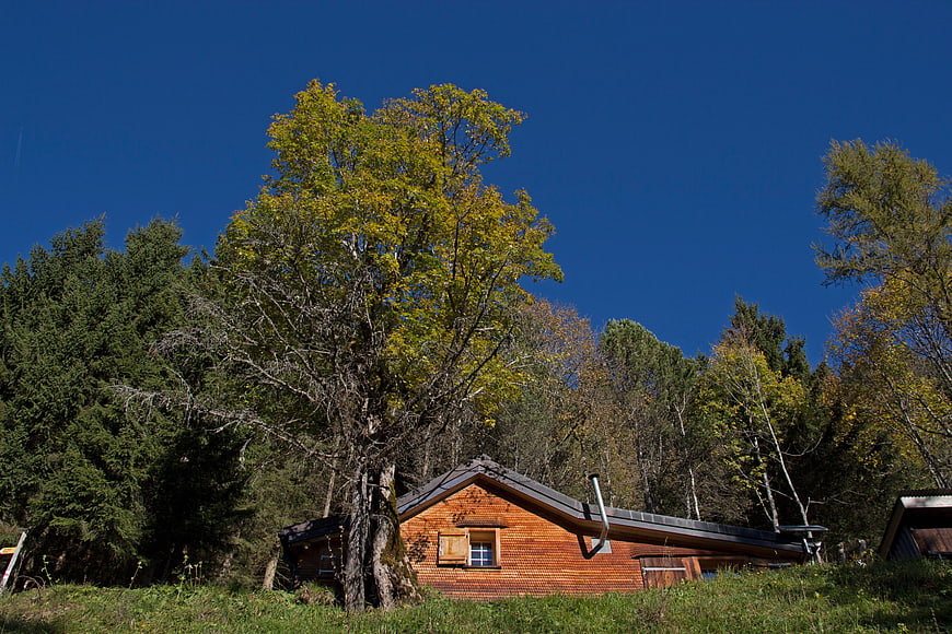 Alpine wooden hut with shingles under blue sky