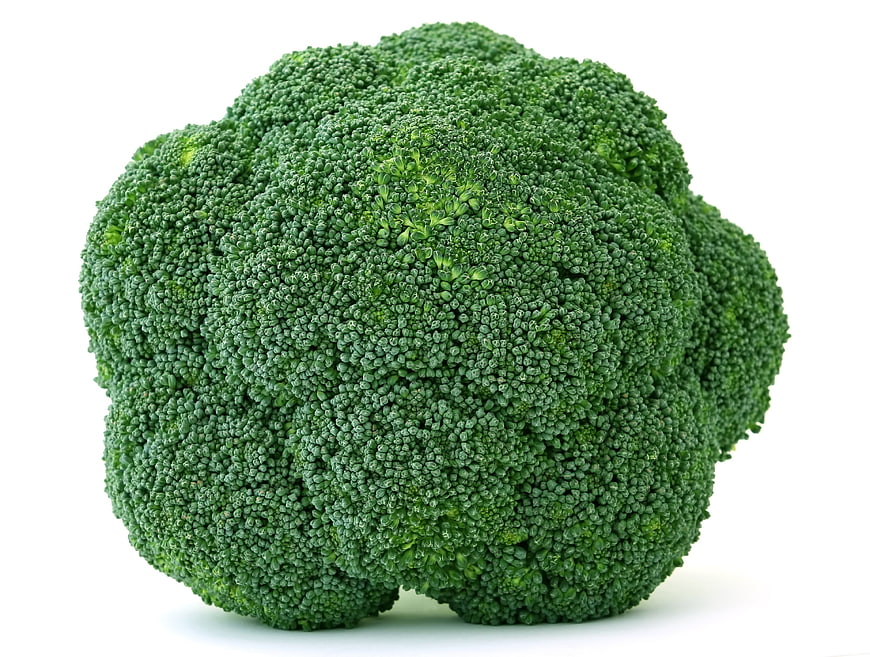 Fresh Broccoli Head Isolated On White Background