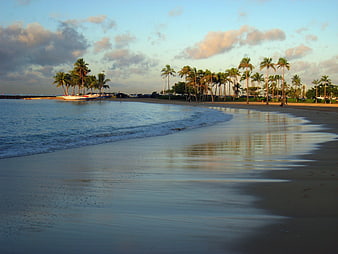 Waikiki Beach Sunset with Palm Trees and Calm Ocean Waves