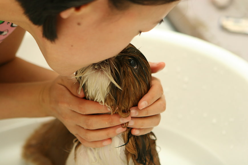 Woman kissing wet brown and white dog in white bathtub