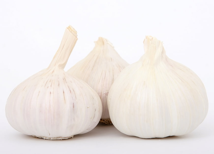Three Fresh Garlic Bulbs Isolated on White Background