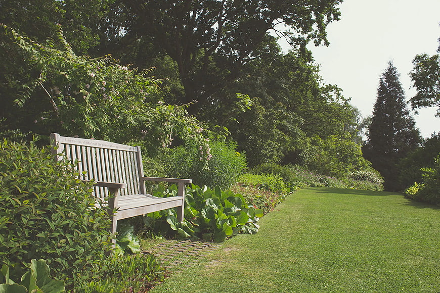 Wooden Garden Bench in Lush Green Park Landscape