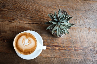 Flat lay of latte art coffee and succulent on rustic wood