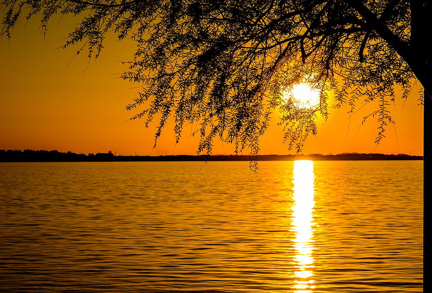 Golden Sunset Silhouette Over Calm Water with Tree Branches