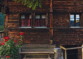 Rustic wooden chalet facade with red roses and bench