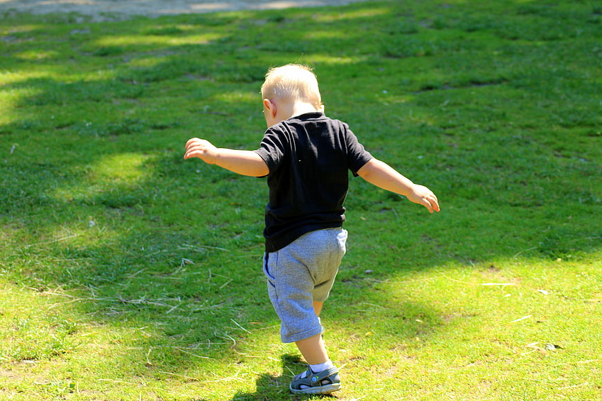 Toddler boy taking first steps on green grass in a sunny park