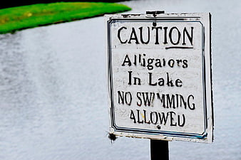 Caution Alligators In Lake No Swimming Allowed Sign