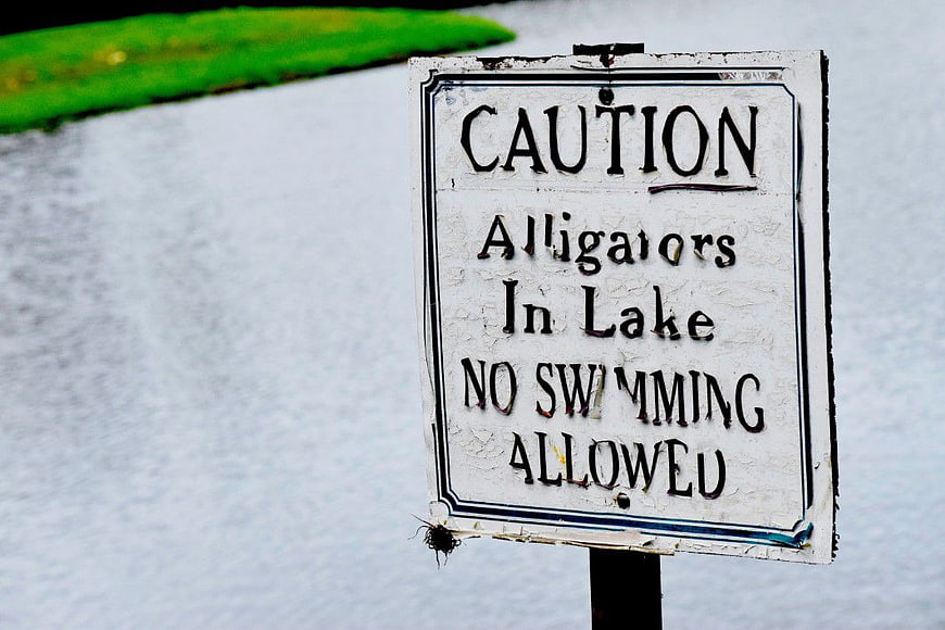 Caution Alligators In Lake No Swimming Allowed Sign