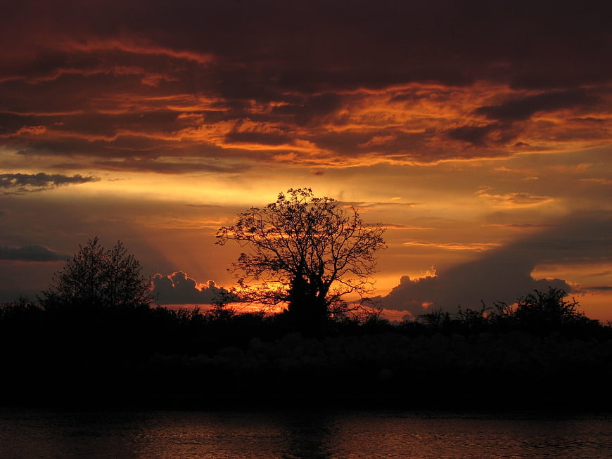 Dramatic sunset with silhouette of tree over water