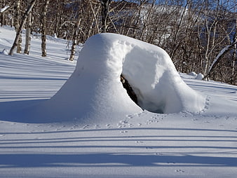 Snow-covered car buried in deep winter drifts