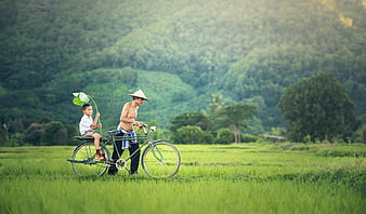 Father and Son Walking Bicycle Through Green Rice Paddy