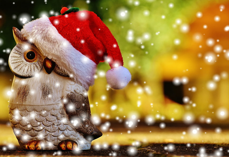 Cute Owl Figurine Wearing Santa Hat with Snow Effect