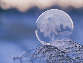 Frozen Soap Bubble with Intricate Ice Crystals on Frosty Grass