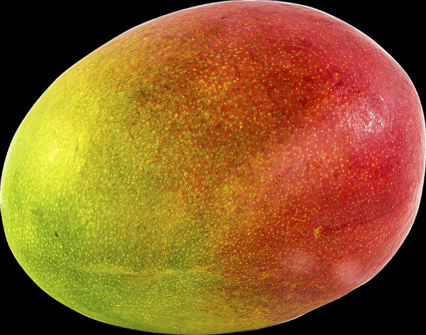 Ripe Red and Green Mango Close Up On Black Background