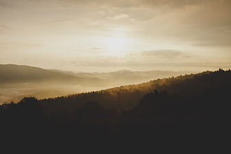 Misty Mountain Forest Landscape at Golden Hour