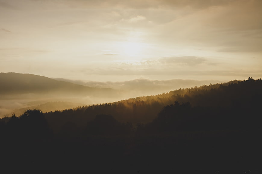 Misty Mountain Forest Landscape at Golden Hour