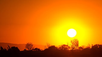 Vibrant Orange Sunset Over Silhouetted Trees and Distant Hills