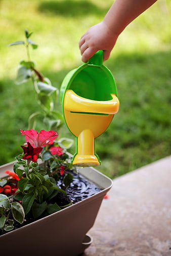 Toddler Hand Watering Flowers with Toy Can